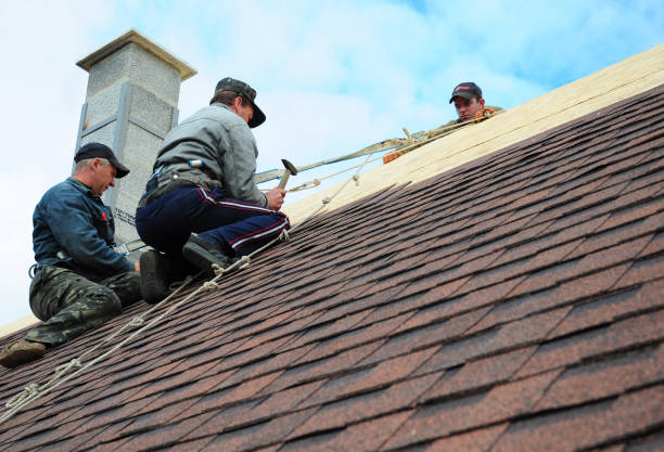Roof Gutter Cleaning in West Terre Haute, IN